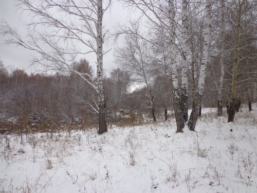 Снежку подсыпало.