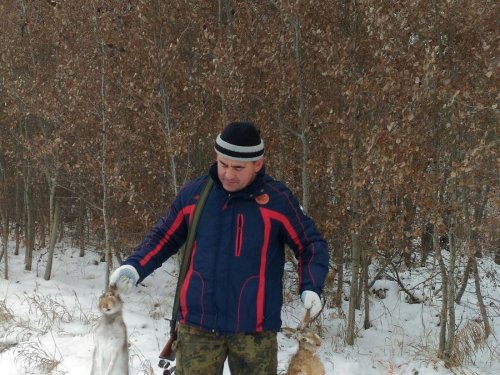 Зайки