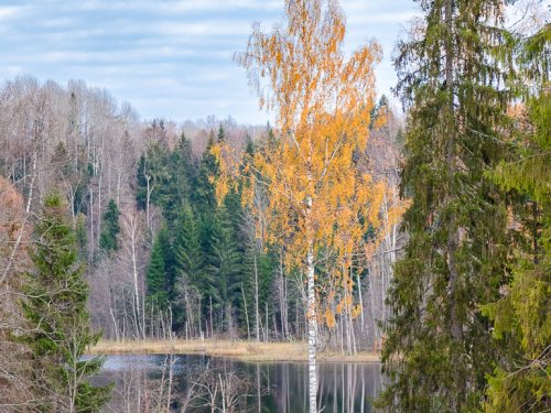 Кусочек озера.