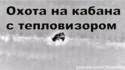 Охота на кабана с тепловизором