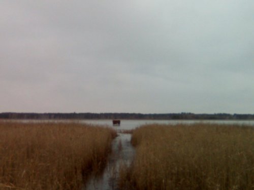 скрадок