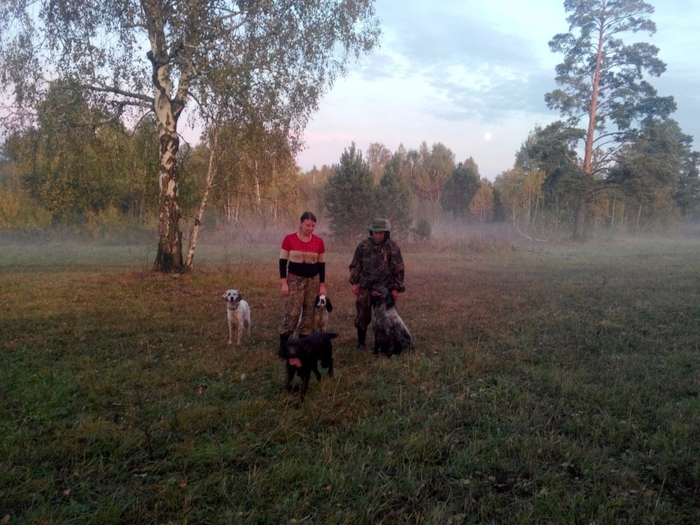 натаска