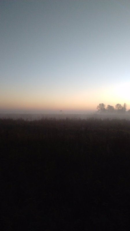 Уреняя зорька