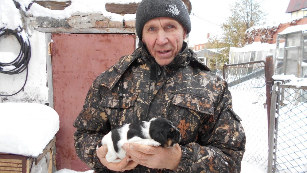 Бомбило второй номер!