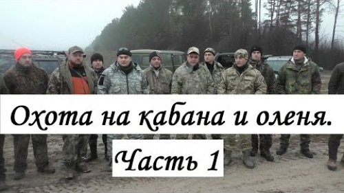 Охота на оленя и кабана: Часть 1.