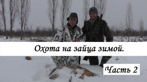 Красивая охота на зайца в зимний период. Часть 2