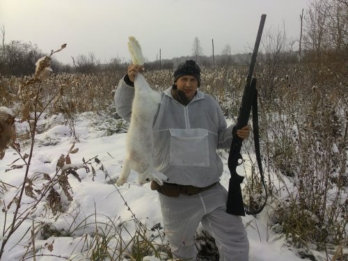 Камышовый  беляк)))