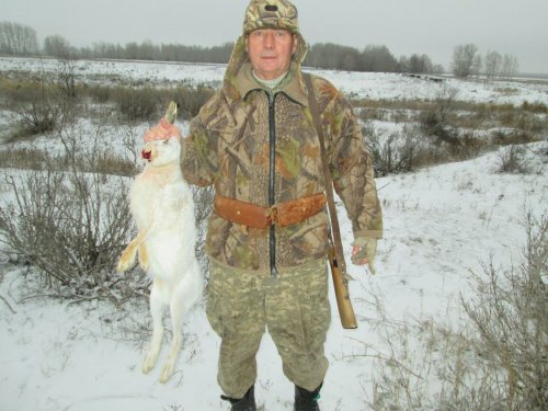 Мордастый...