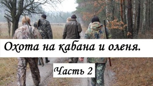 Охота на оленя и кабана: Часть 2.