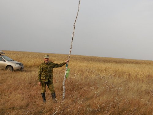 Случай на болоте