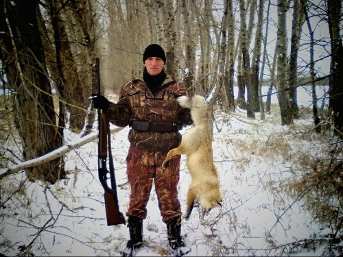 4 года назад