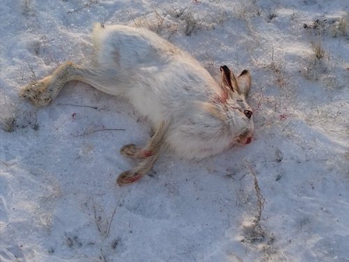 первый в этом сезоне