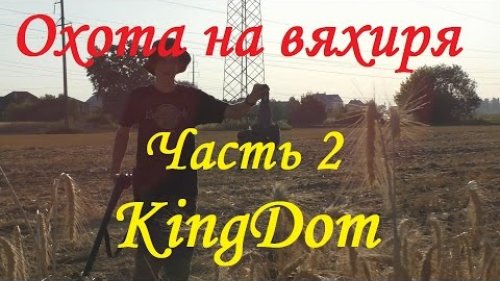 Охота на вяхиря Часть 2: Процесс охоты и подвод итогов.