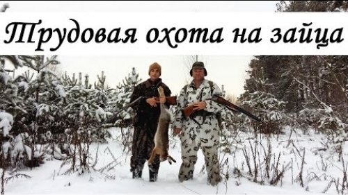 Трудовая охота на зайца после рождества