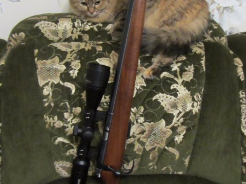 CZ 455 varmint 22 lr.
