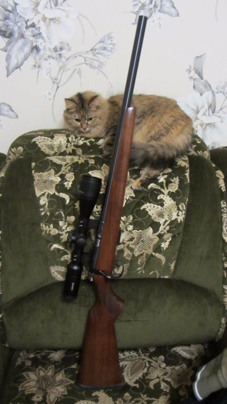 CZ 455 varmint 22 lr.
