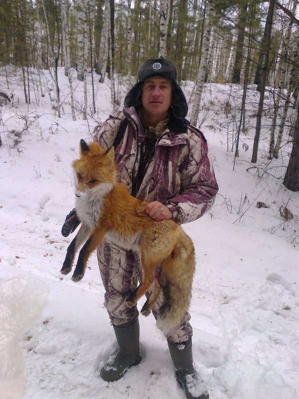 Рыжая наглость