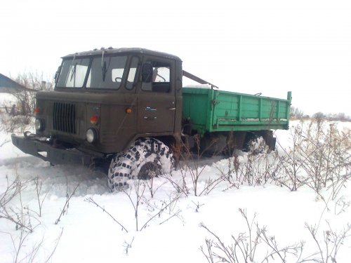 мой газон