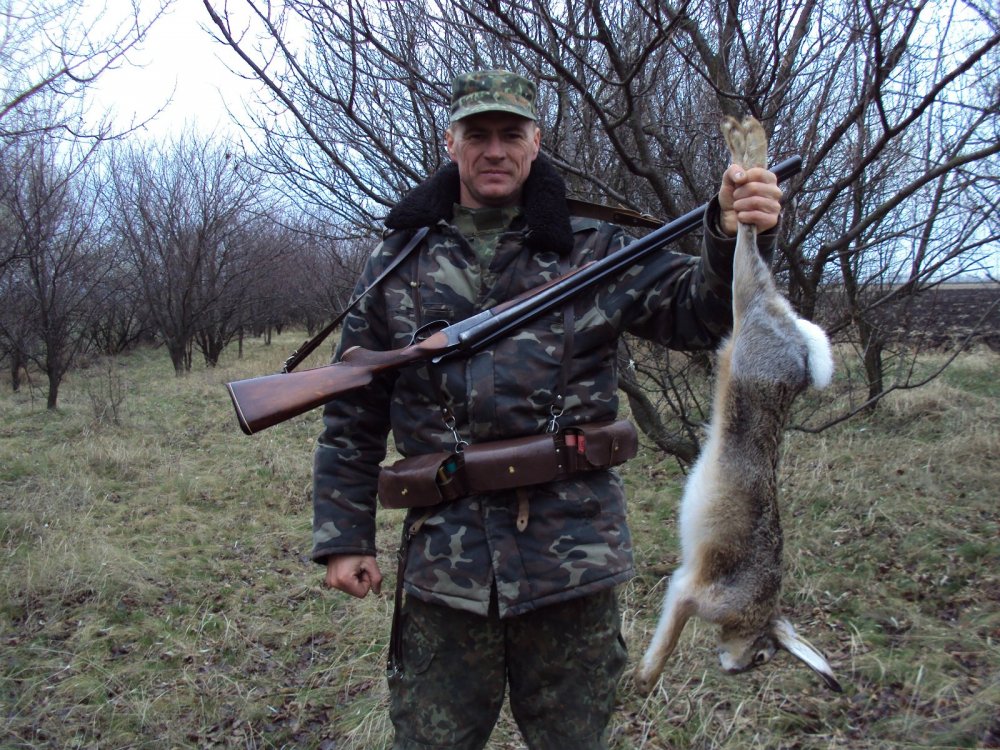 Зайчик 2016.