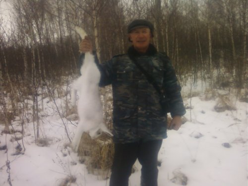Зайцы в прицеле.