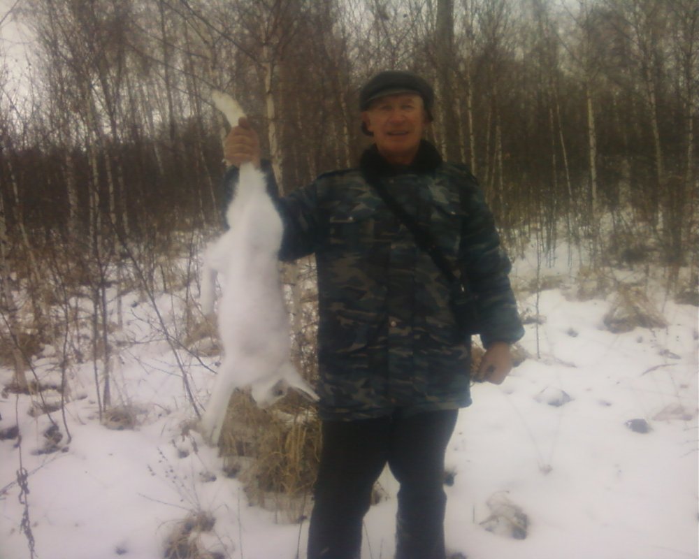 Зайцы в прицеле.
