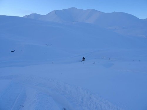 За баранами