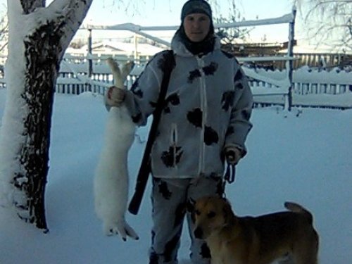 трудовой