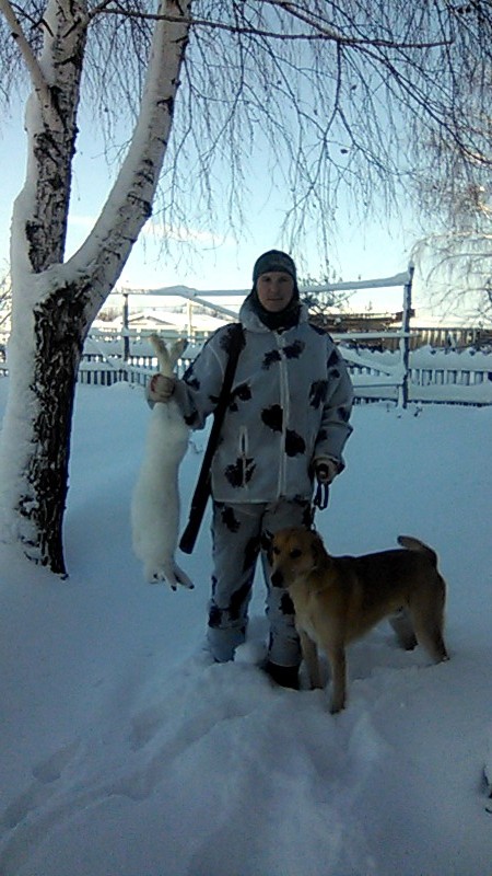 трудовой