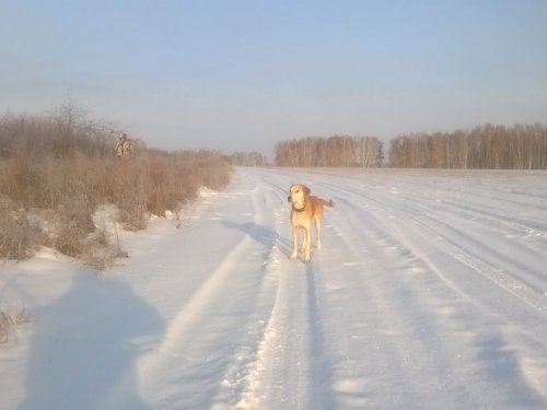 На прогулке
