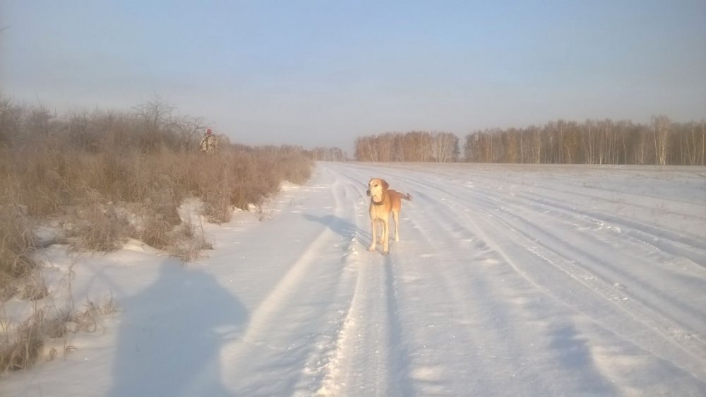 На прогулке