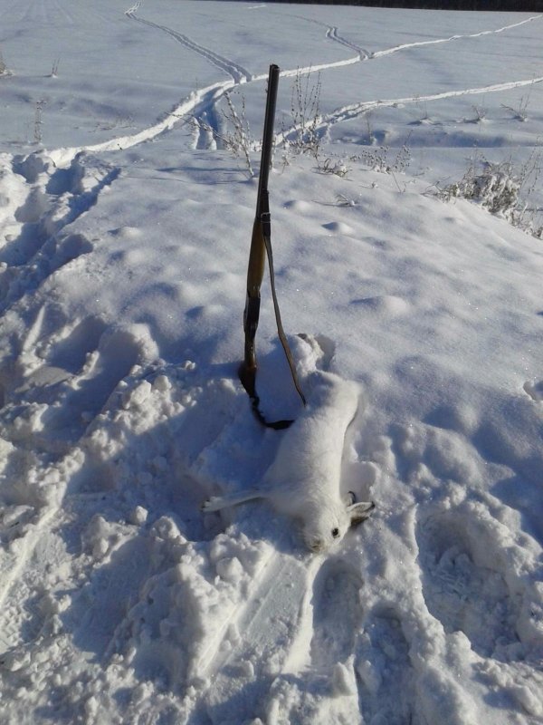 Самокрут 2, расстояние 60-70м