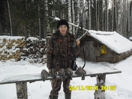 Рябки