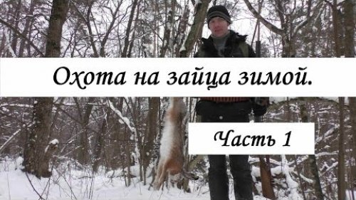 Красивая охота на зайца в зимний период. Часть 1