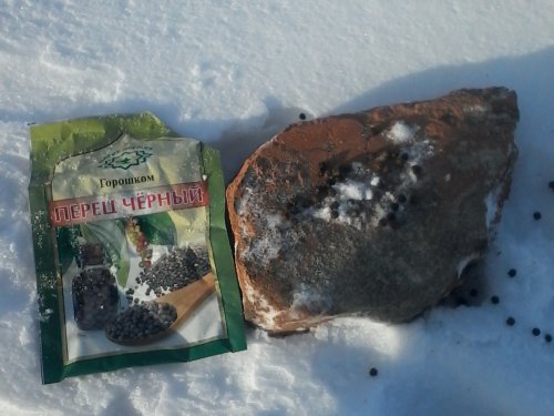 Дедовский способ добычи зайца