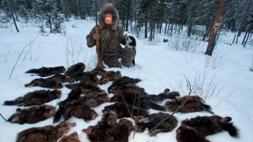 Охота на соболя в дебрях Потерянного Края! Жизнь и быт промысловиков.