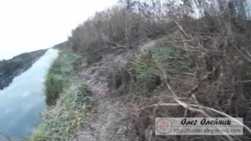 Наконец то выбрался на охоту в хороший день без дождя