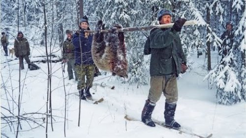 Опасная охота на медведя в просторах Крайнего Севера. Часть 1.