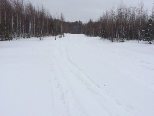 Снегоходные дороги