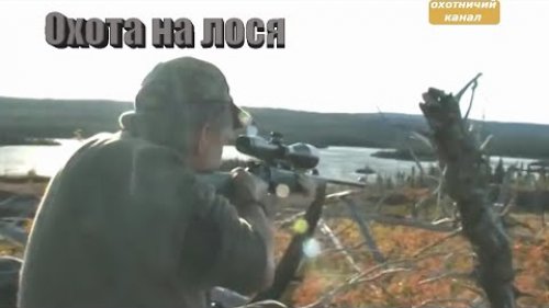 Охота на лося в Канаде