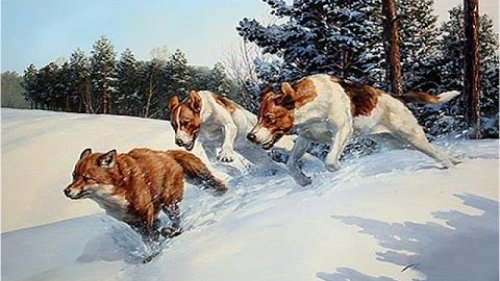 Охота на лисиц в Пензенской области