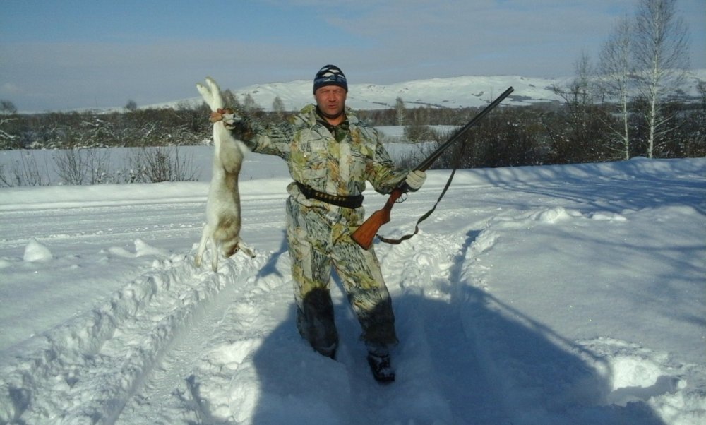 Заяц