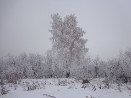 Морозное утро.
