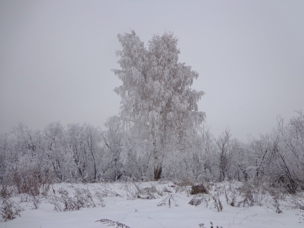 Морозное утро.