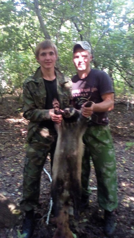Дружище!