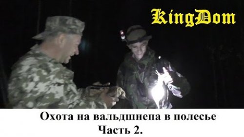 Охота на вальдшнепа в полесье