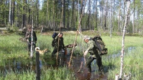 Родное болото! Топь великой Тайги.
