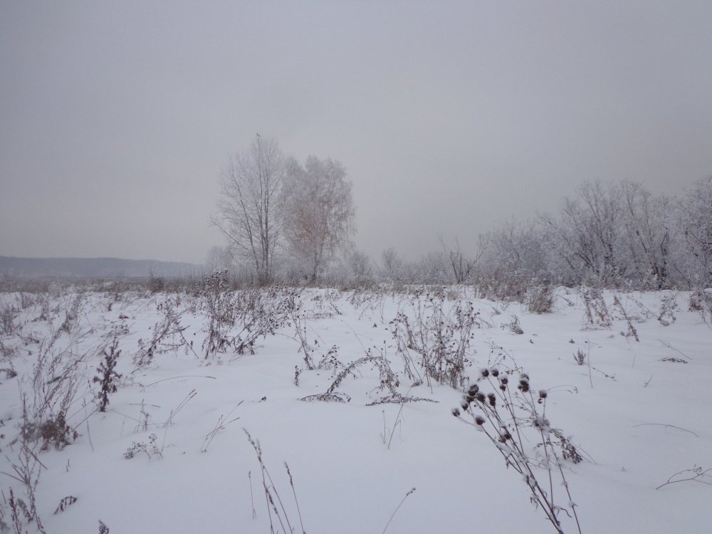 Морозное утро.