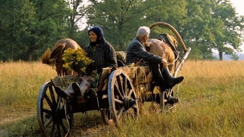 История одной деревни.