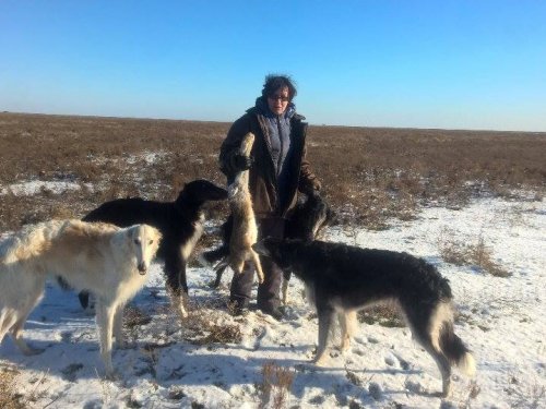 Волгоградская обл., степь, охота с РПБ.