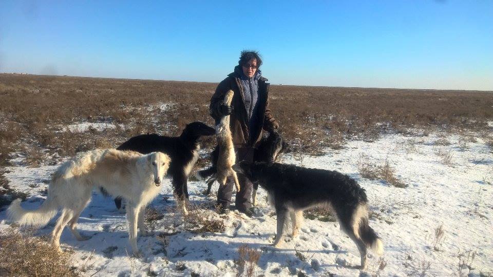 Волгоградская обл., степь, охота с РПБ.